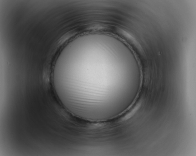 X0000094341017200711162005