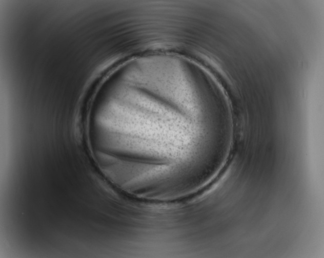 X0000094341018200711162005