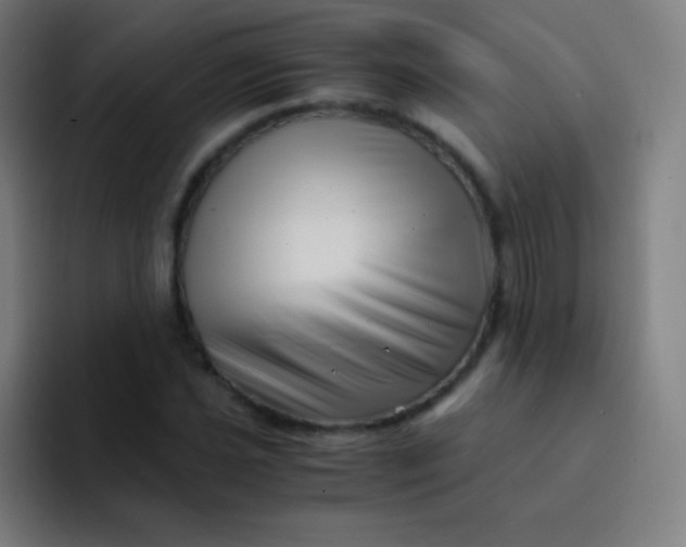 X0000094341021200711162005