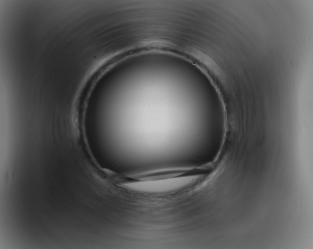 X0000094341022200711162005