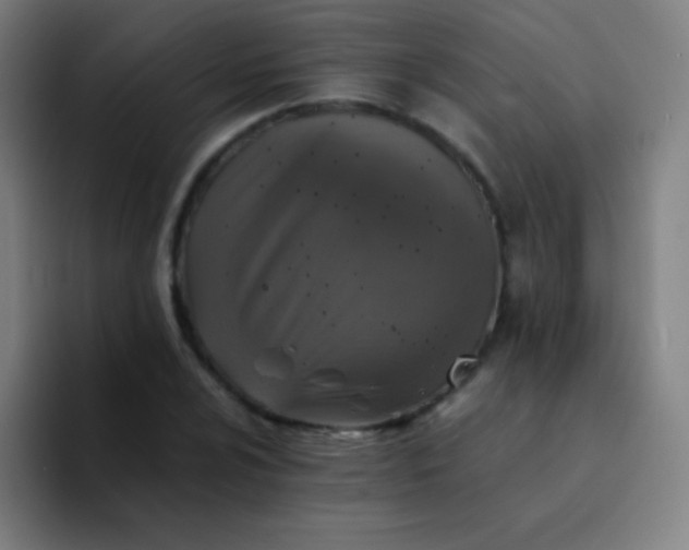 X0000094341024200711162005