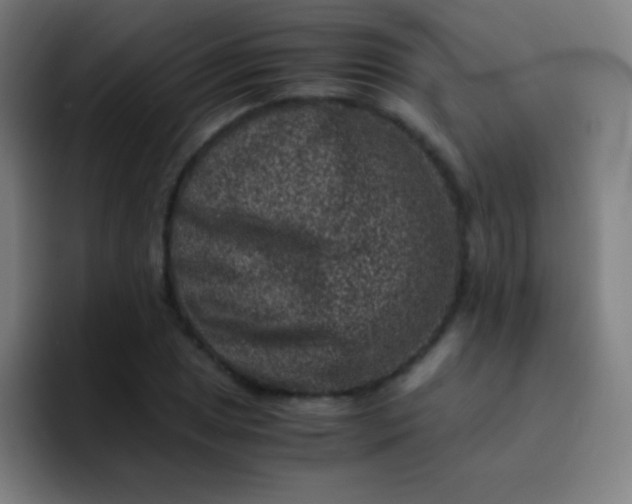 X0000094341025200711162005