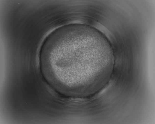 X0000094341027200711162005