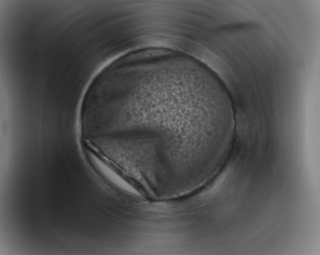 X0000094341028200711162006