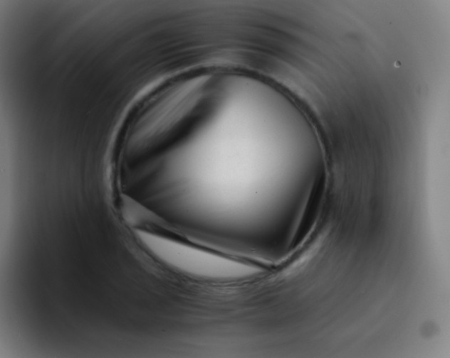 X0000094341029200711162006