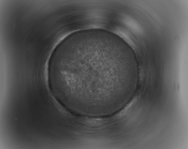 X0000094341031200711162006