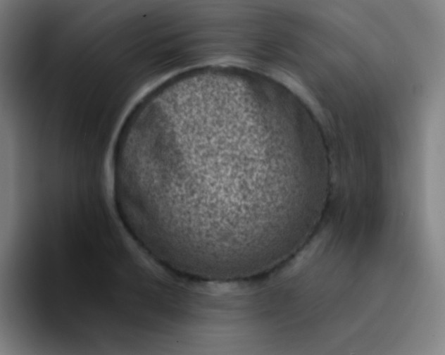 X0000094341032200711162006