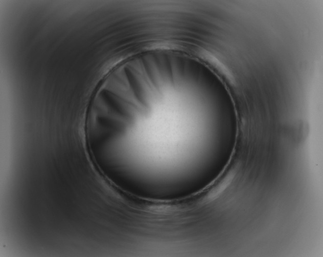 X0000094341033200711162006