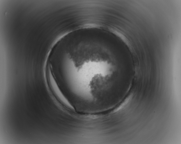 X0000094341034200711162006