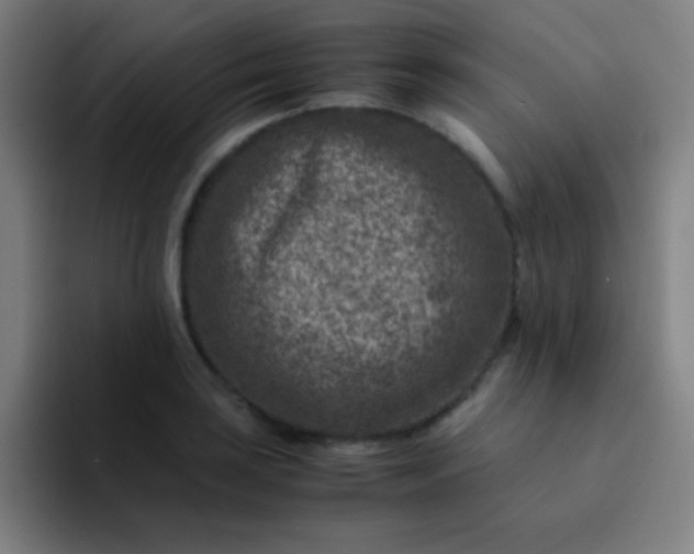 X0000094341035200711162006