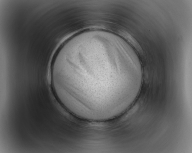 X0000094341036200711162006