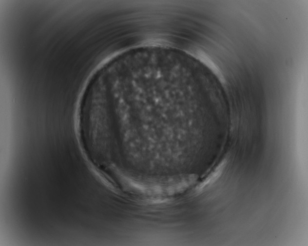 X0000094341037200711162006