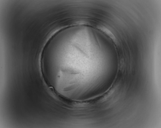 X0000094341039200711162006