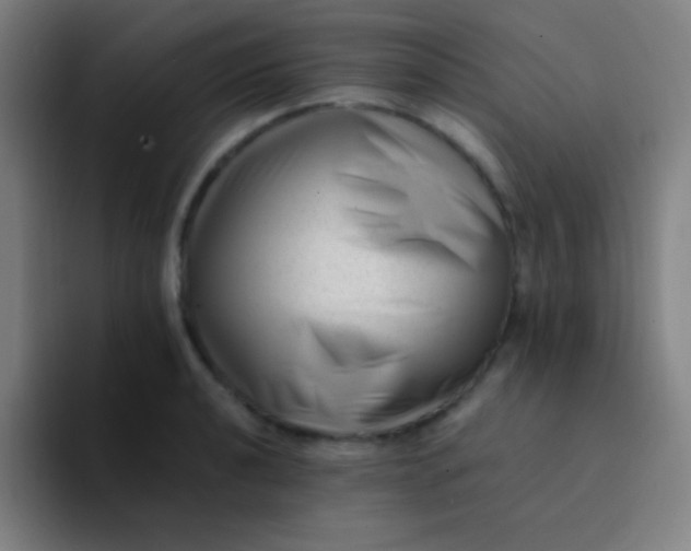 X0000094341040200711162006