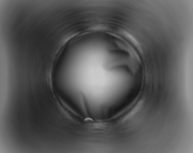 X0000094341041200711162006