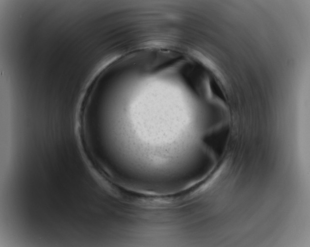 X0000094341042200711162006