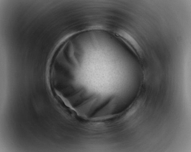 X0000094341043200711162006