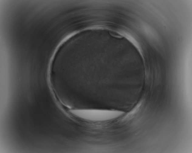 X0000094341045200711162006