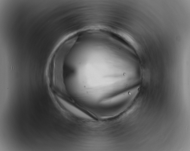 X0000094341046200711162006