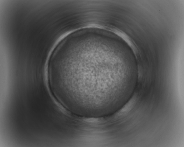 X0000094341048200711162006