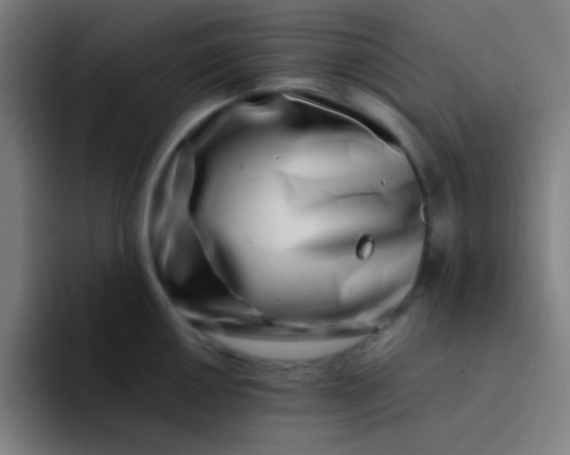 X0000094341050200711162006