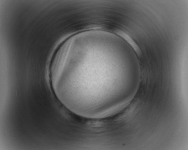 X0000094341051200711162006