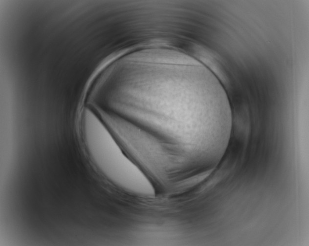 X0000094341052200711162006