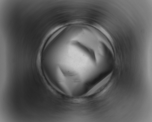 X0000094341053200711162006