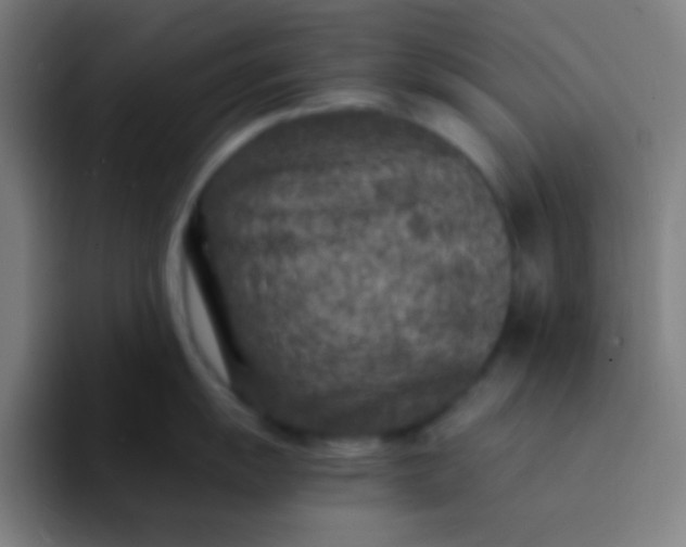 X0000094341055200711162006