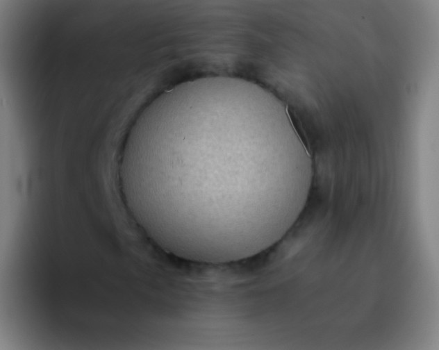 X0000094341057200711162005