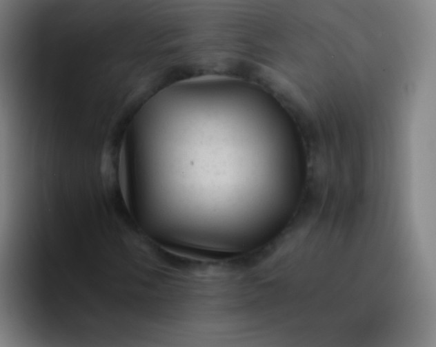 X0000094341058200711162005