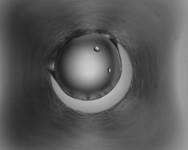 X0000094341059200711162005