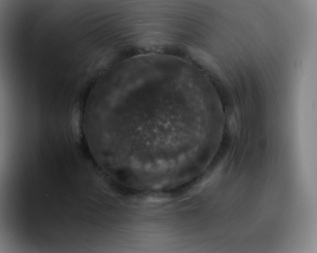 X0000094341060200711162005