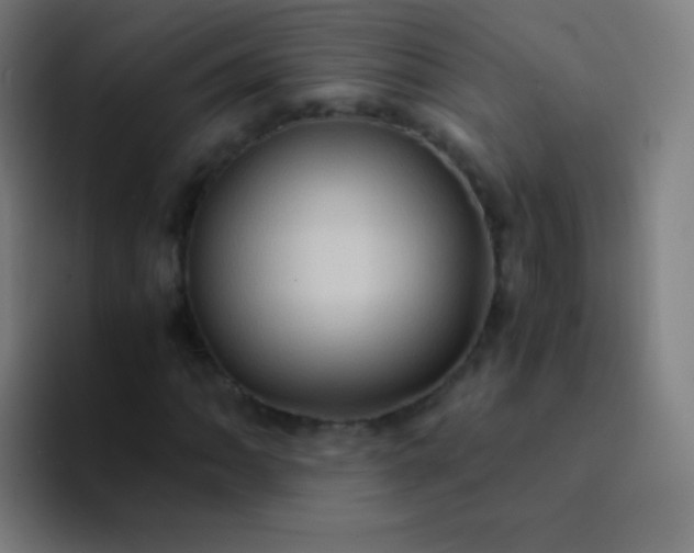 X0000094341062200711162005