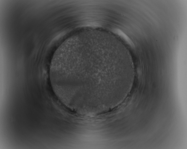 X0000094341064200711162005