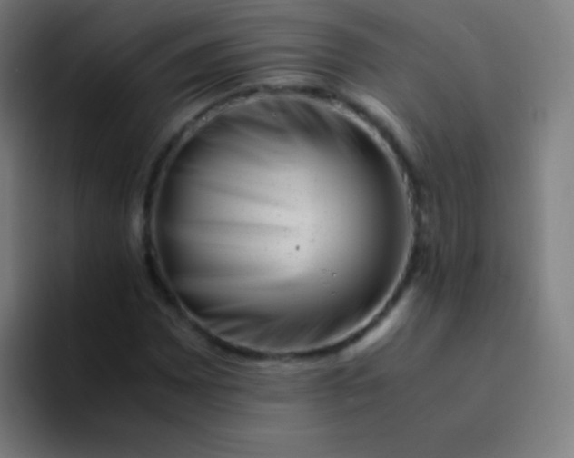 X0000094341065200711162005