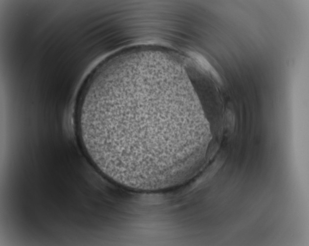 X0000094341068200711162005