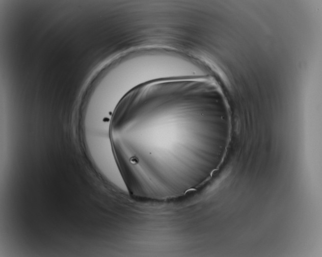 X0000094341069200711162005