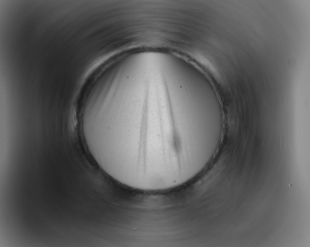 X0000094341070200711162005