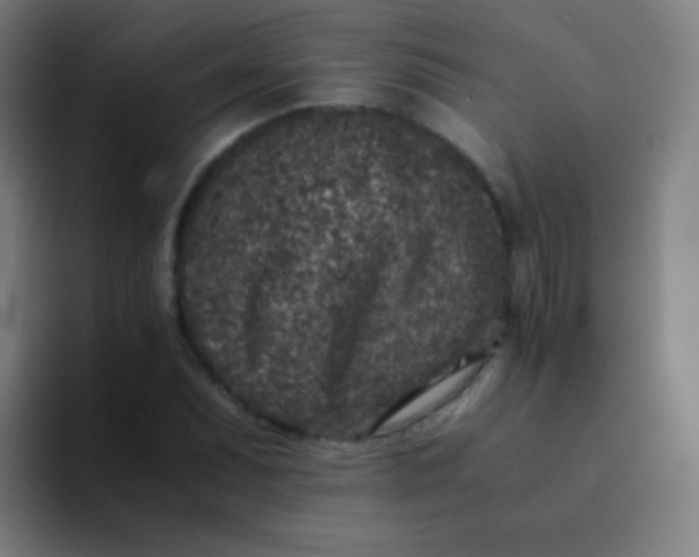 X0000094341071200711162005