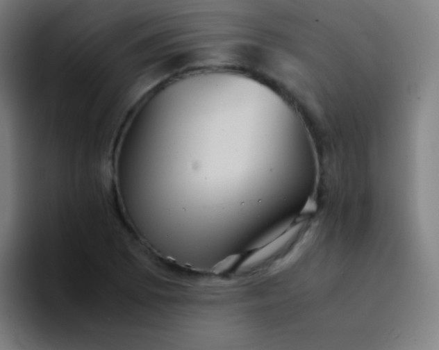 X0000094341073200711162005