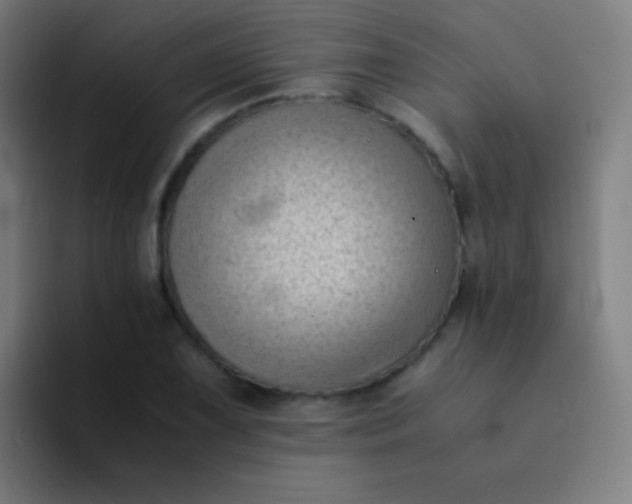 X0000094341075200711162005