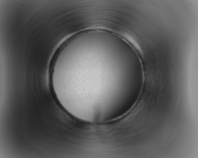 X0000094341076200711162005