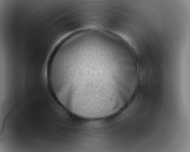 X0000094341078200711162005