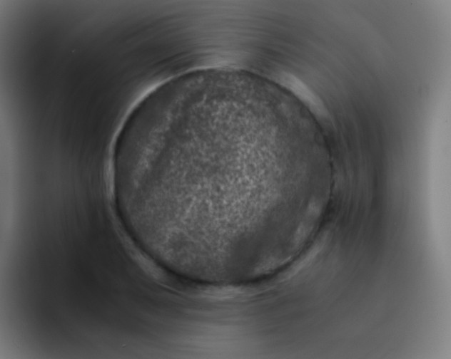 X0000094341079200711162005