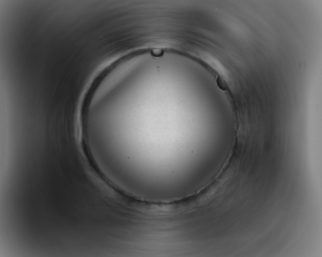 X0000094341080200711162005