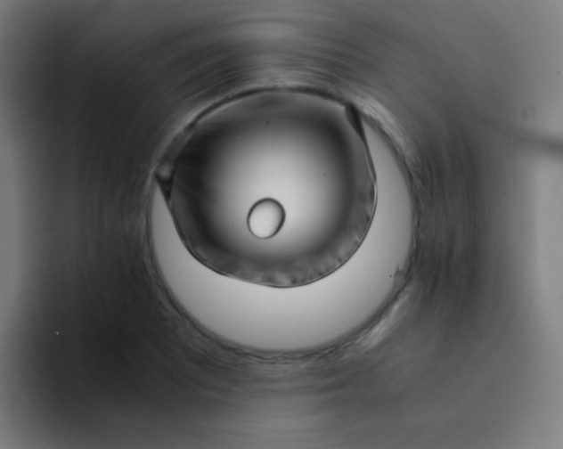 X0000094341081200711162005