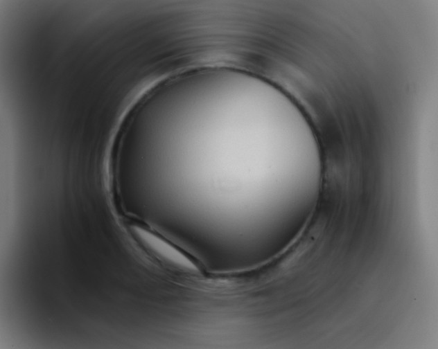 X0000094341082200711162005