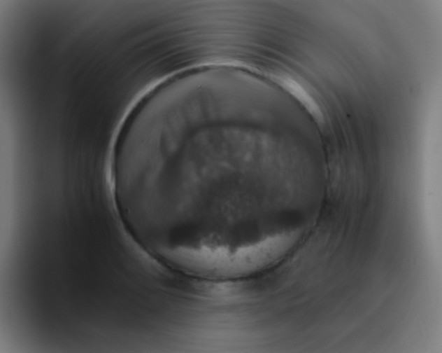 X0000094341084200711162005