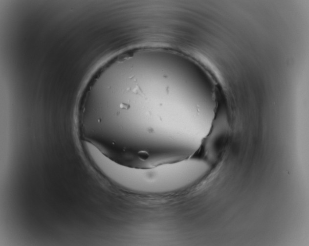 X0000094341085200711162005